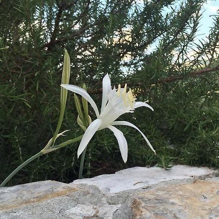 Ca' Di Bianca Hotell Moneglia Exteriör bild