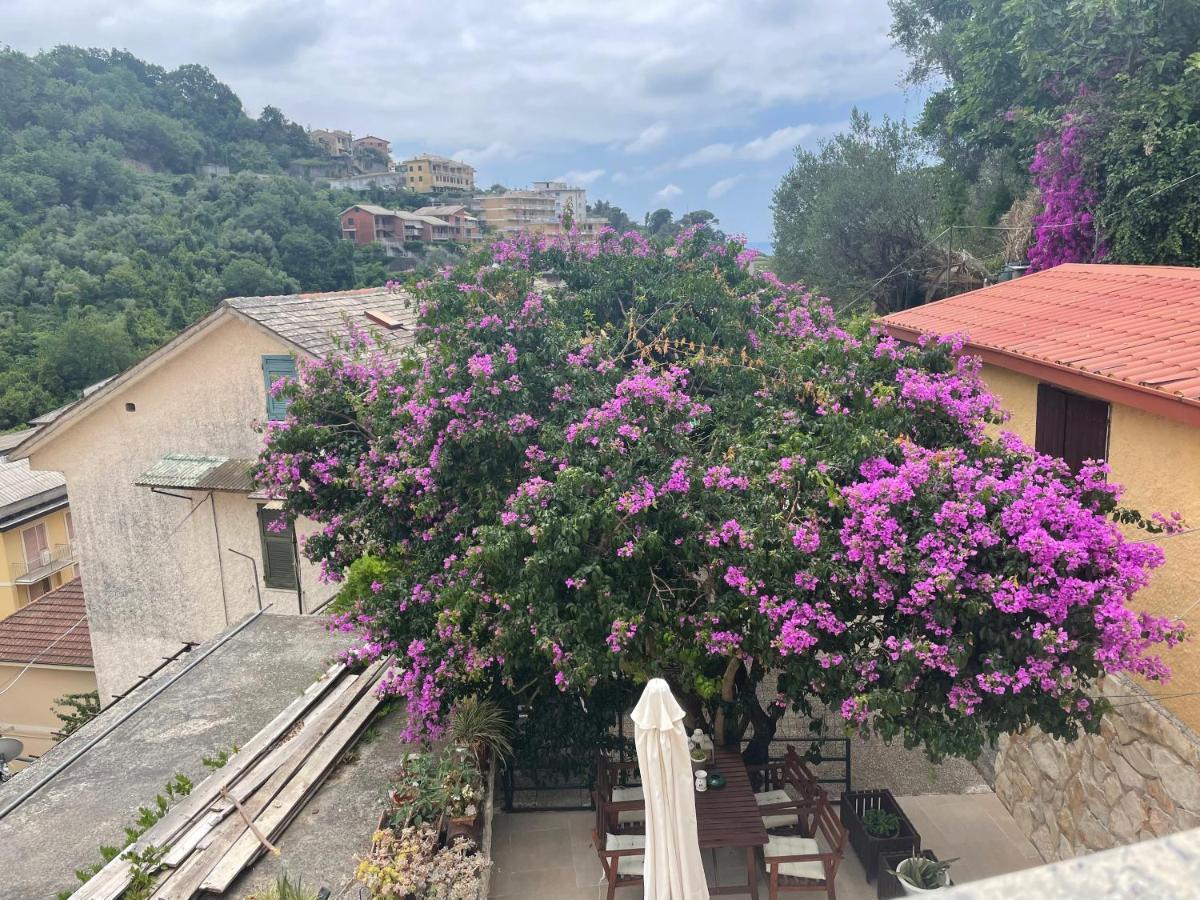 Ca' Di Bianca Hotell Moneglia Exteriör bild