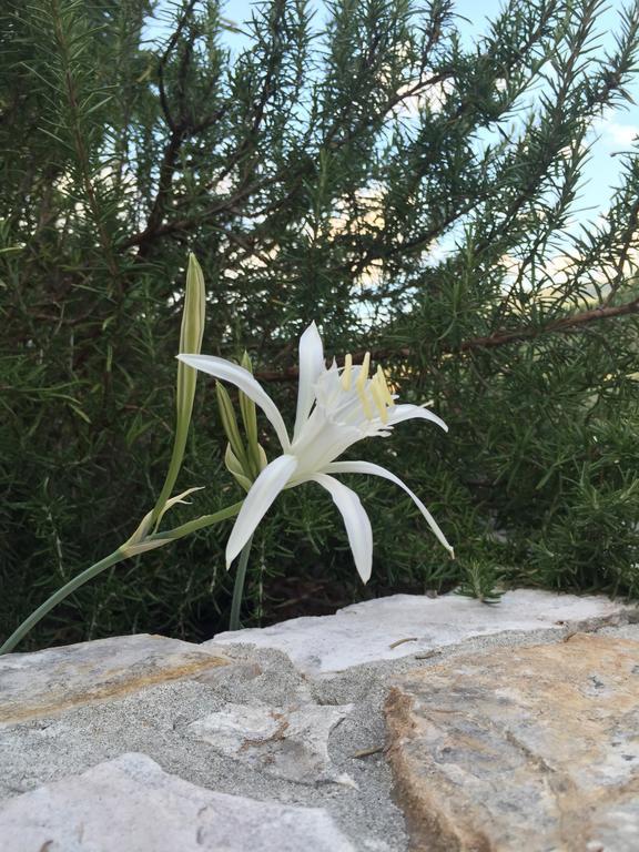 Ca' Di Bianca Hotell Moneglia Exteriör bild